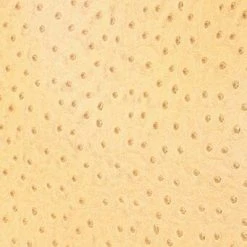 ALEC BAG | WALNUT OSTRICH EMBOSSED -fashion STAUD ALEC BAG WALNUT FALL 23 ECOM 2 8b897917 6510 44e2 a975 610f70a71632